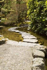 Featured image for “The Journey”